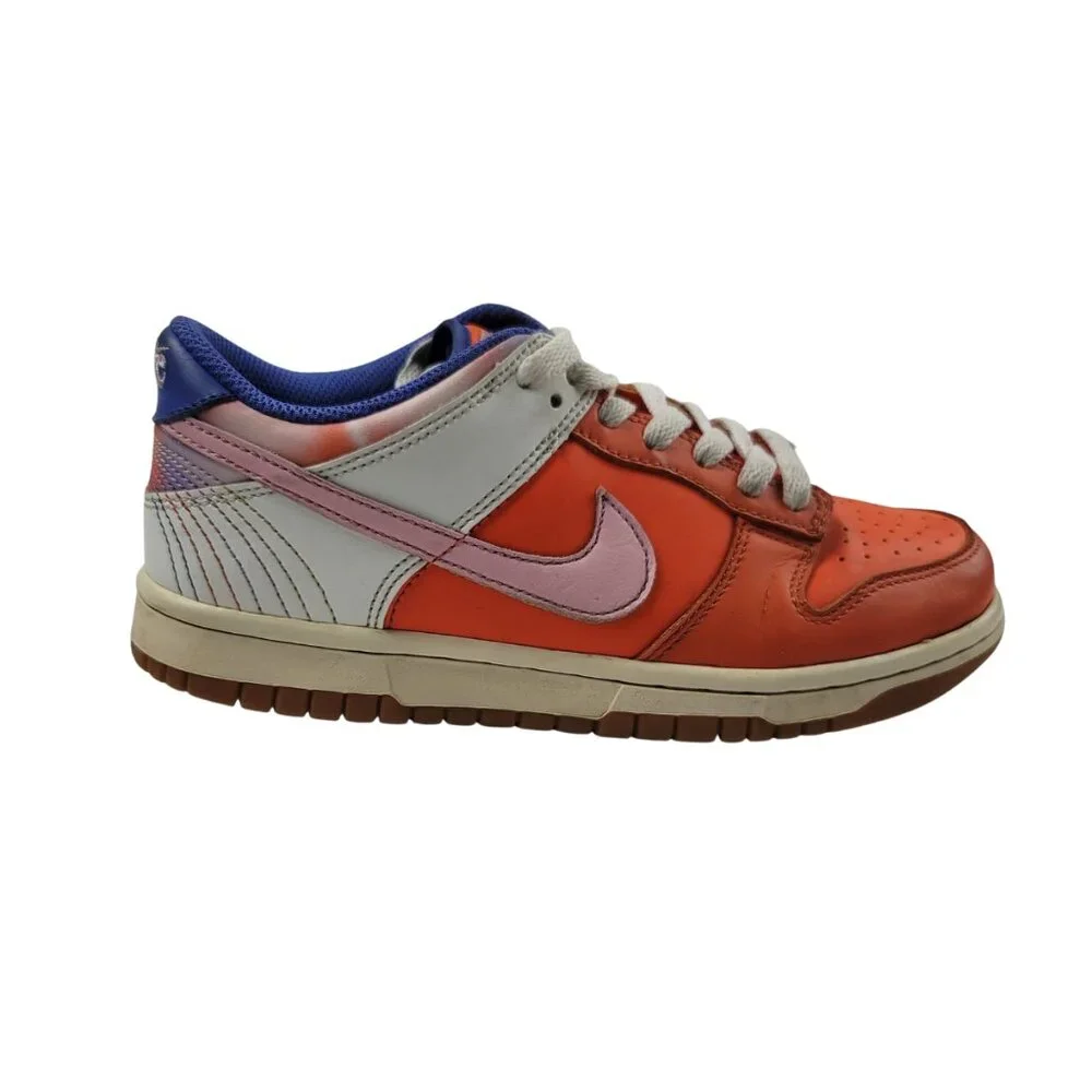 Nike Dunk Low SE Everything You Need Sneakers Boys Size 5